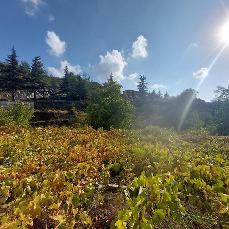 Agros Green Valley Suites Limasol Dış mekan fotoğraf