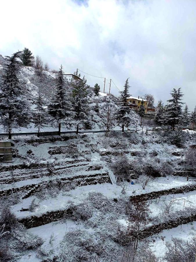 Agros Green Valley Suites Limasol Dış mekan fotoğraf