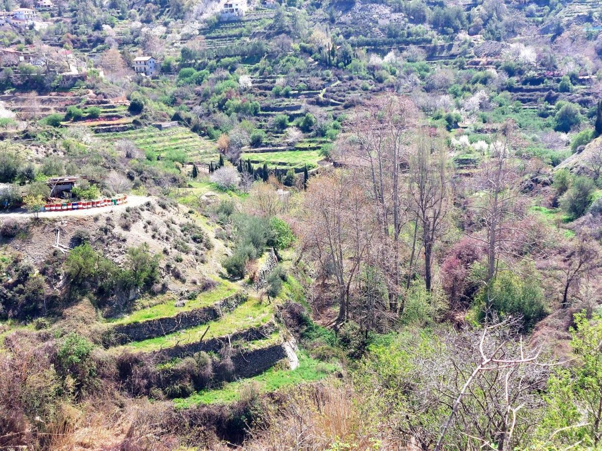 Agros Green Valley Suites Limasol Dış mekan fotoğraf