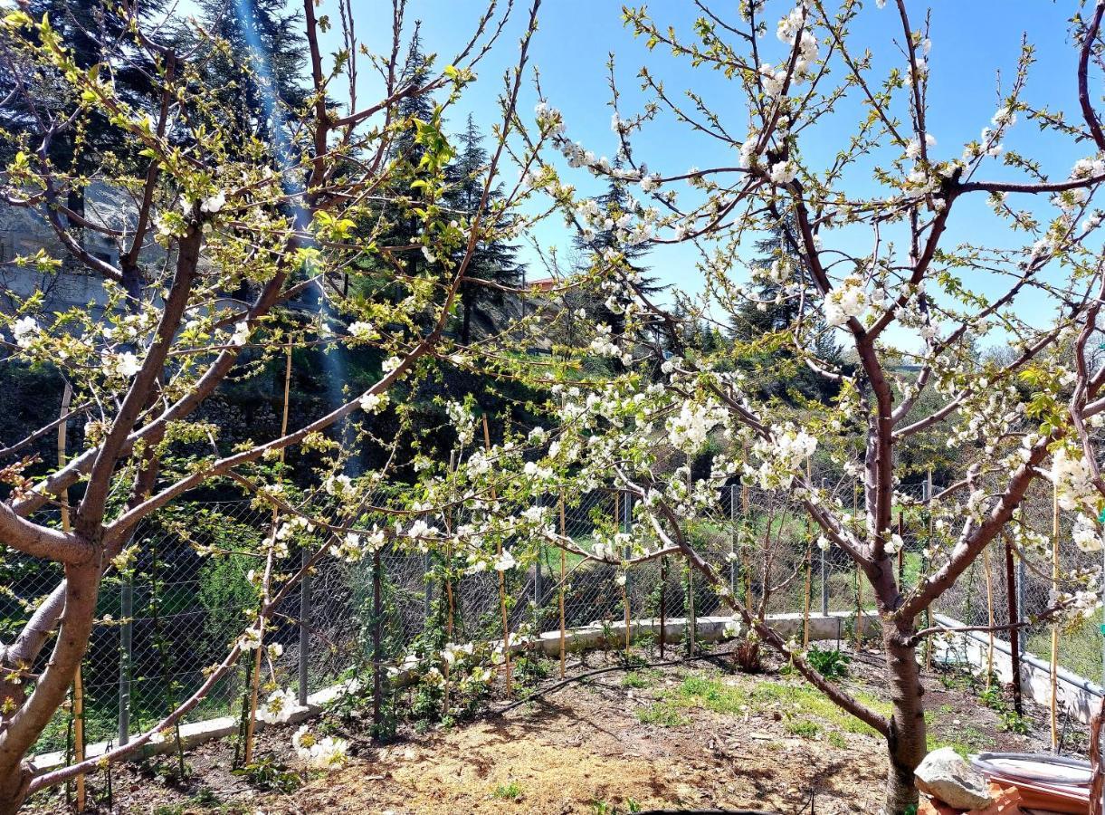 Agros Green Valley Suites Limasol Dış mekan fotoğraf
