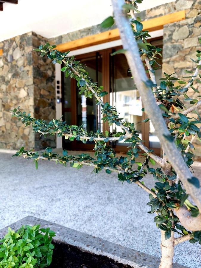 Agros Green Valley Suites Limasol Dış mekan fotoğraf