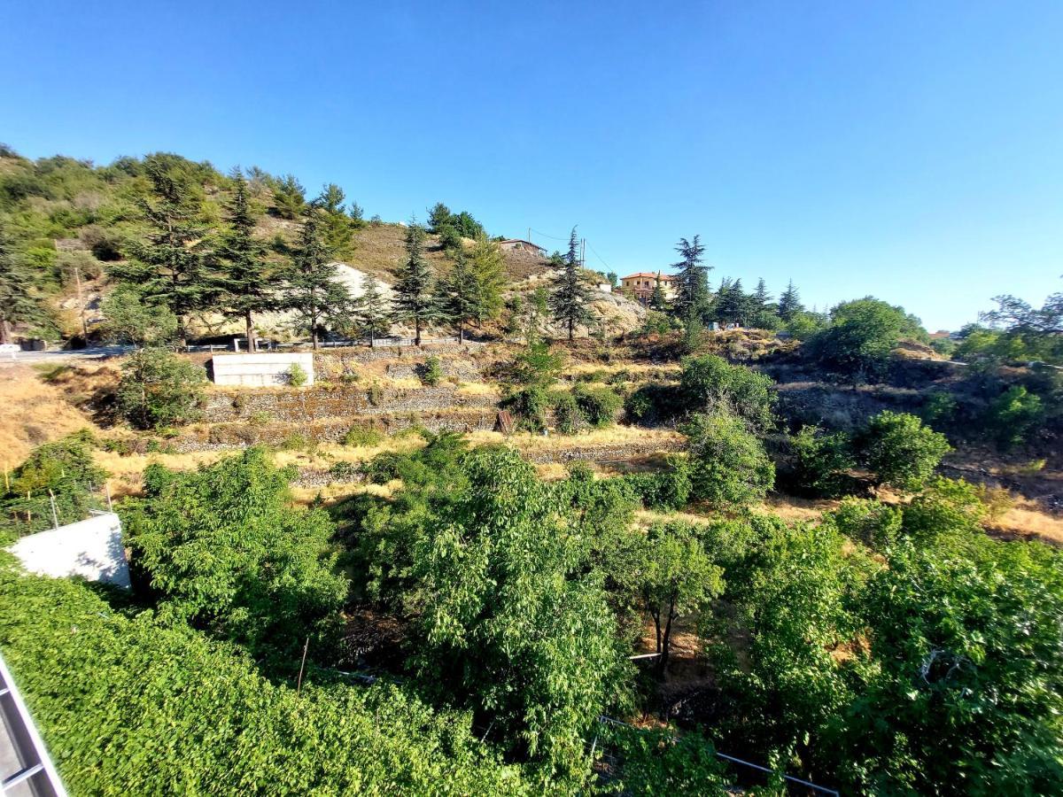 Agros Green Valley Suites Limasol Dış mekan fotoğraf