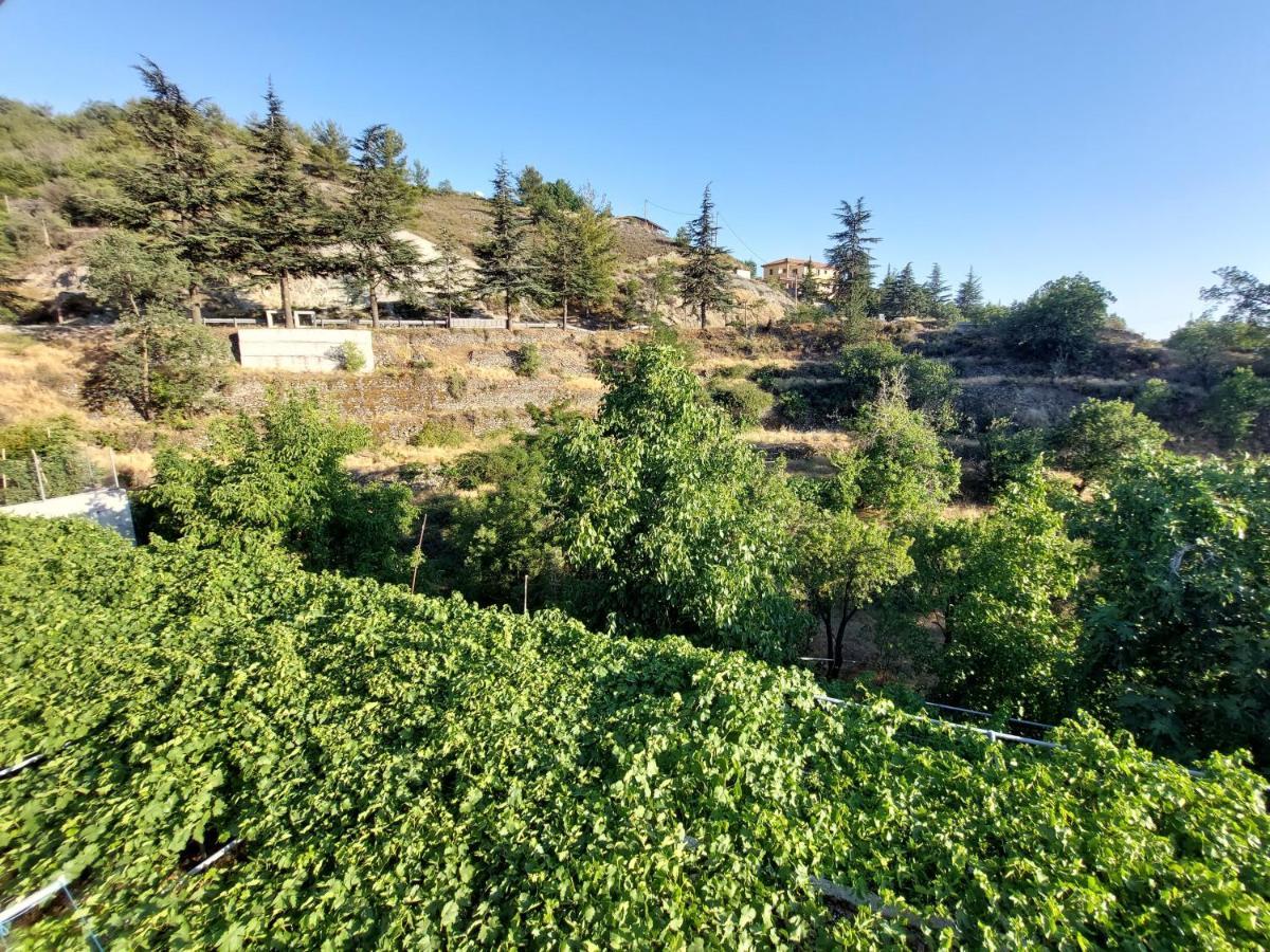Agros Green Valley Suites Limasol Dış mekan fotoğraf
