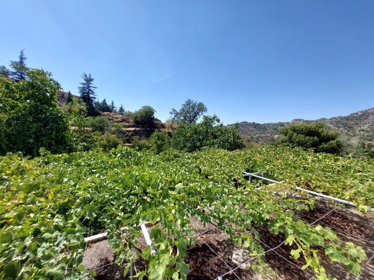 Agros Green Valley Suites Limasol Dış mekan fotoğraf