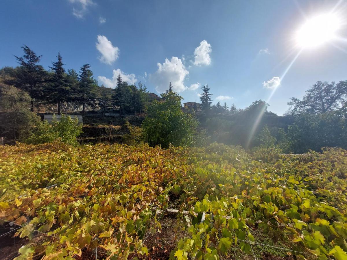 Agros Green Valley Suites Limasol Dış mekan fotoğraf